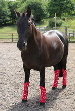 Load image into Gallery viewer, Fleece travel boots