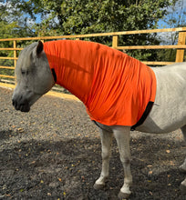 Load image into Gallery viewer, HEADLESS  horse hoods. Lycra neck cover pjamas