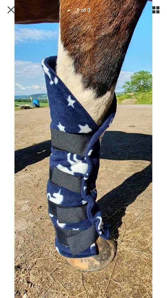 Cheap horse travel boots best sale