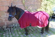 Load image into Gallery viewer, Fleece show rug up to 5.6"