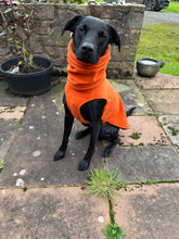 Load image into Gallery viewer, Polar fleece dog jumper