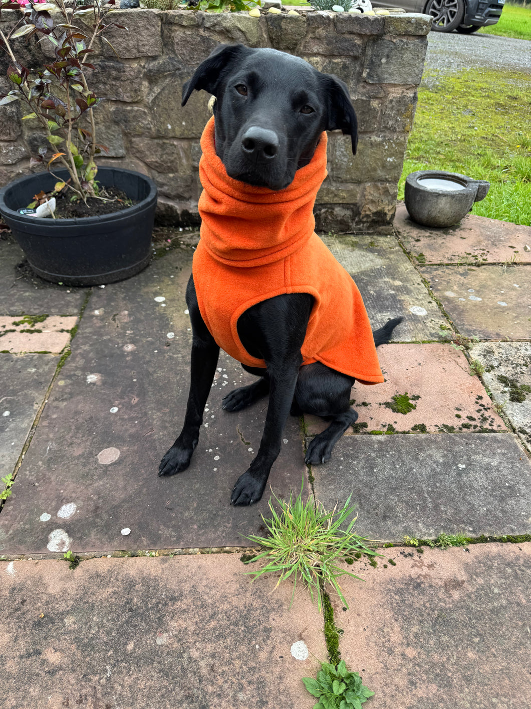 Polar fleece dog jumper