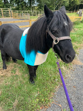 Load image into Gallery viewer, Shetland Lycra protection bibs
