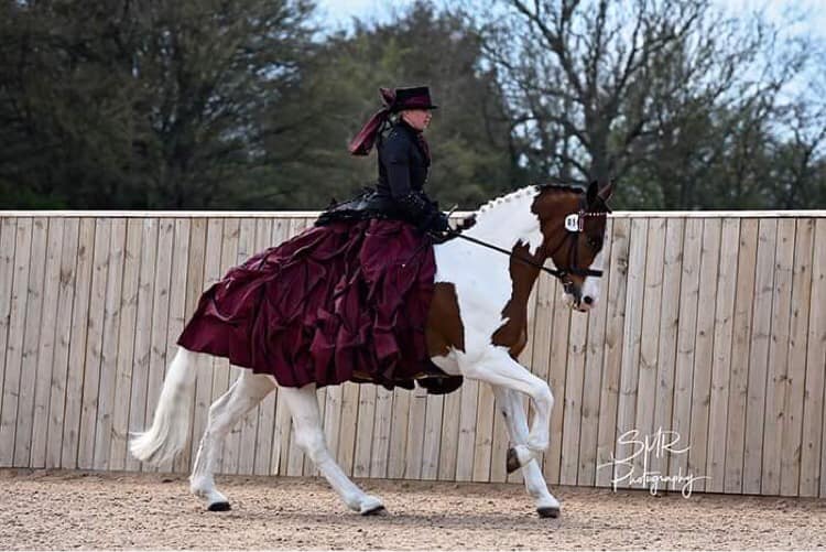 Bespoke Concours D'elegance  Horse and Pony Boutique