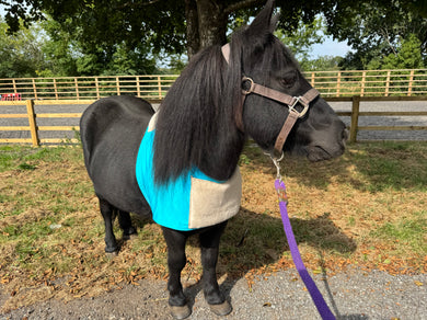 Shetland Lycra protection bibs