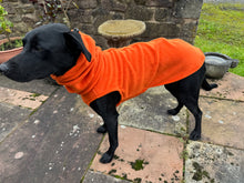 Load image into Gallery viewer, Polar fleece dog jumper