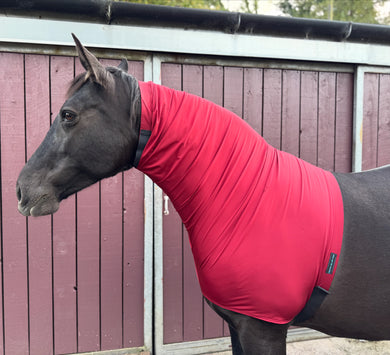 HEADLESS  horse hoods. Lycra neck cover pjamas