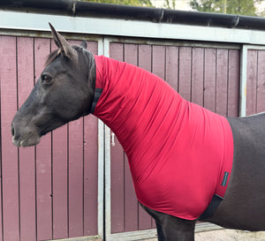 HEADLESS  horse hoods. Lycra neck cover pjamas