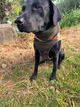 Load image into Gallery viewer, Printed Polar fleece dog jumper
