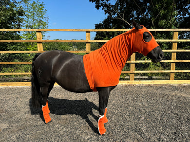 Seville orange fleece hood