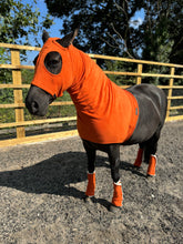 Load image into Gallery viewer, Seville orange fleece hood