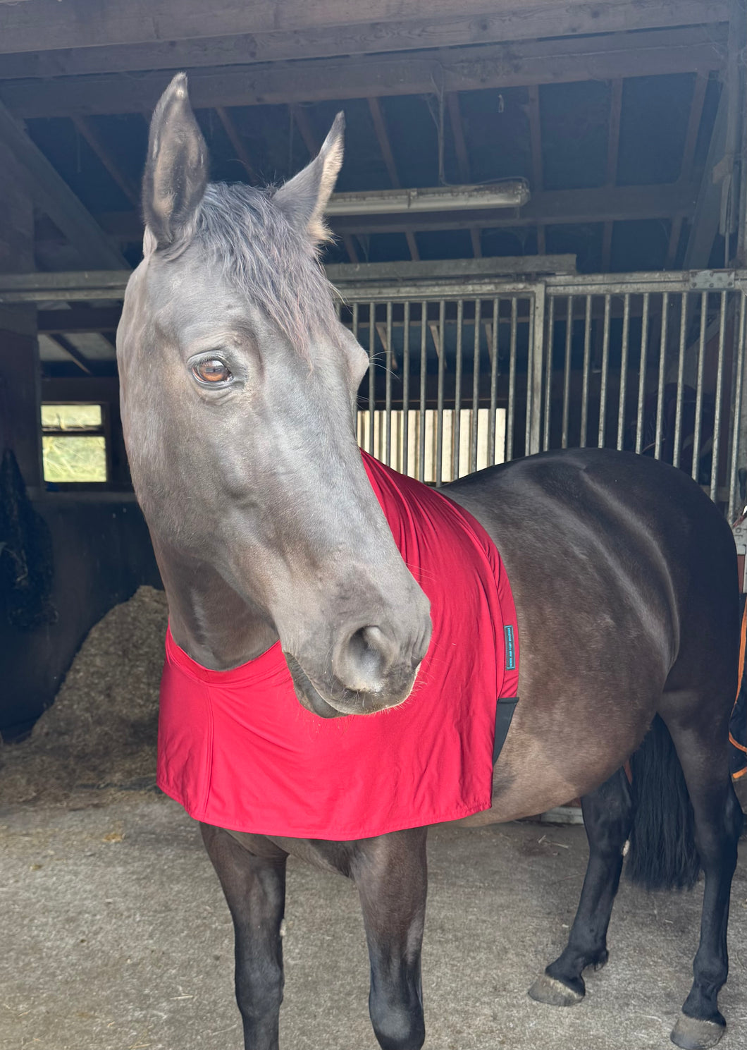 Burgundy Lycra bib