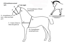 Load image into Gallery viewer, Fox&#39;s fleece horse hood