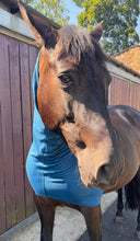 Load image into Gallery viewer, Tesl Headless horse pjamas, neck covers.