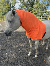 Load image into Gallery viewer, Lycra Headless horse hoods. Lycra neck cover pjamas