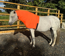 Load image into Gallery viewer, Lycra Headless horse hoods. Lycra neck cover pjamas