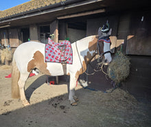 Load image into Gallery viewer, Grey lady bird  saddle pads