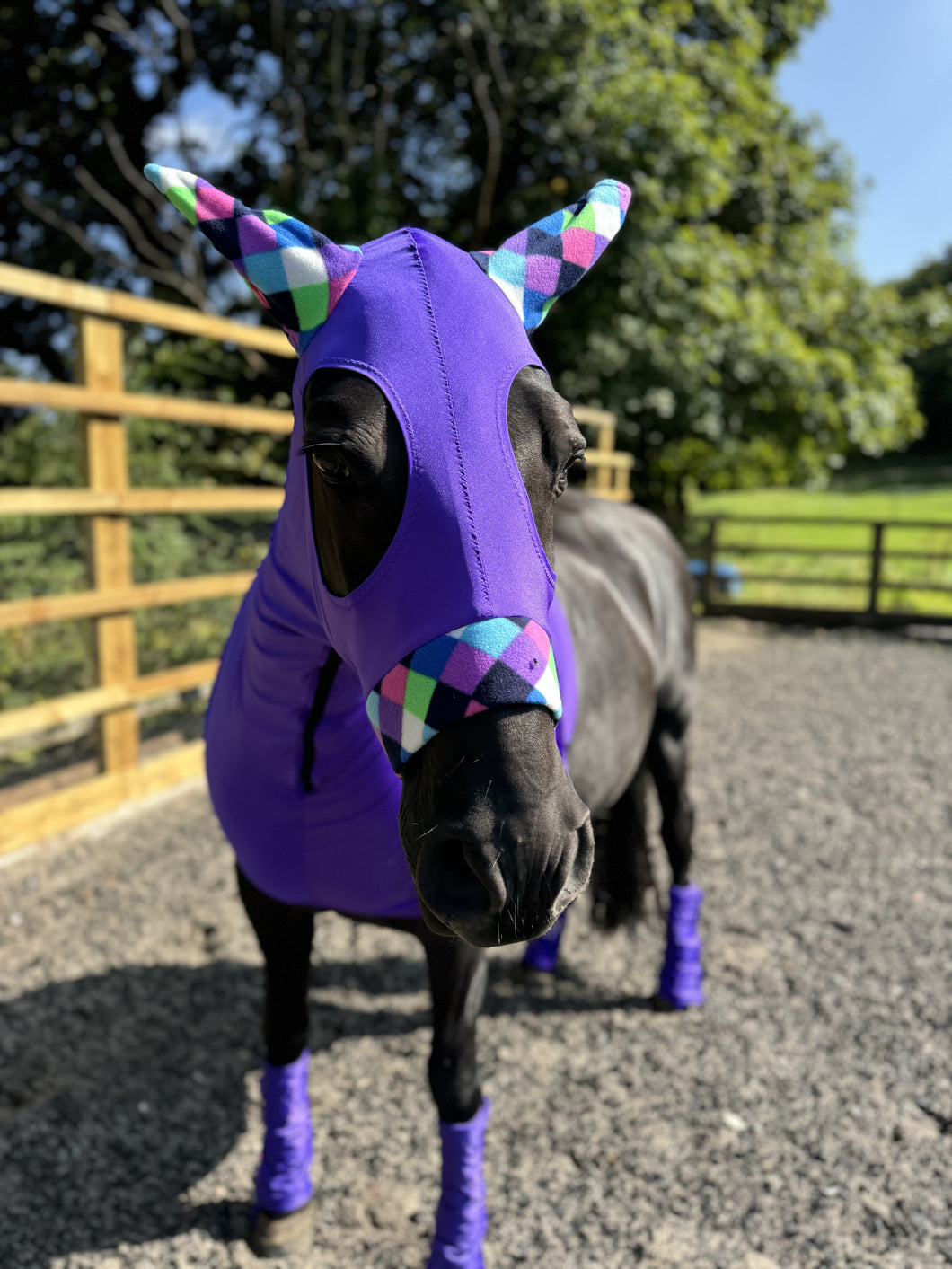 Purple hood with fleece ears and nose band