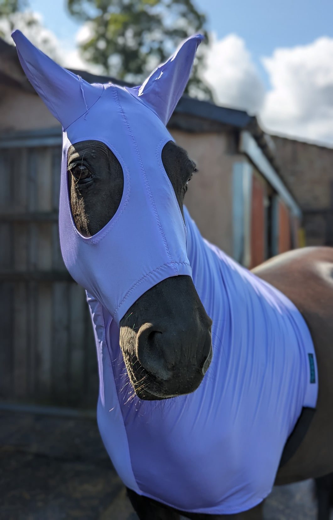 Lilac lycra horse hood