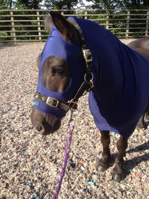 Navy lycra horse hood