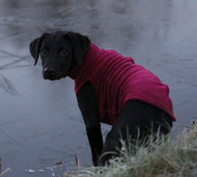 Load image into Gallery viewer, Plush double sided fleece dog jumper