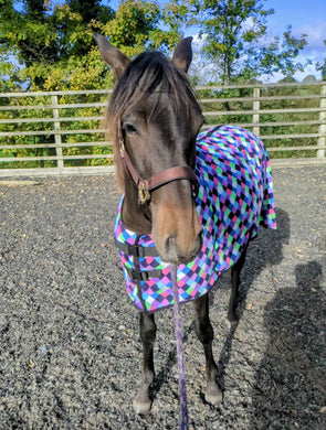 Fleece show rug 5.9'-7ft