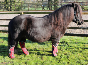 Fleece lined Shetland Travel boots