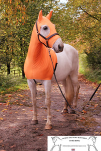 Orange lycra horse hood