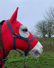 Load image into Gallery viewer, Red lycra horse hood