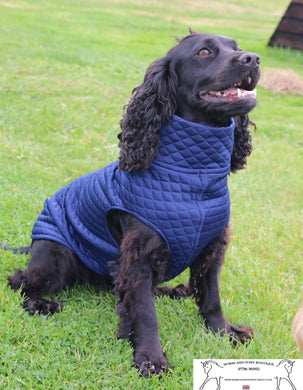 Quilted dog jumper