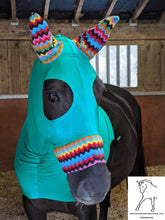 Load image into Gallery viewer, Emerald green lycra hood with fleece ears and nose band