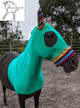 Load image into Gallery viewer, Emerald green lycra hood with fleece ears and nose band