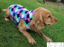 Load image into Gallery viewer, Printed Polar fleece dog jumper