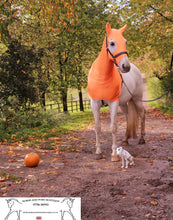 Load image into Gallery viewer, Orange lycra horse hood