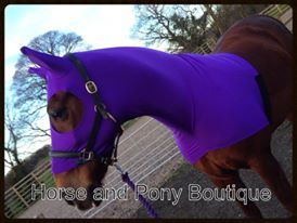Purple lycra horse hood