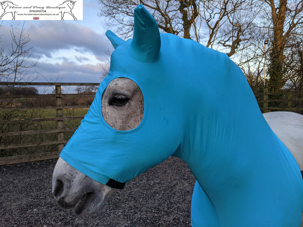 Turquoise lycra horse hood